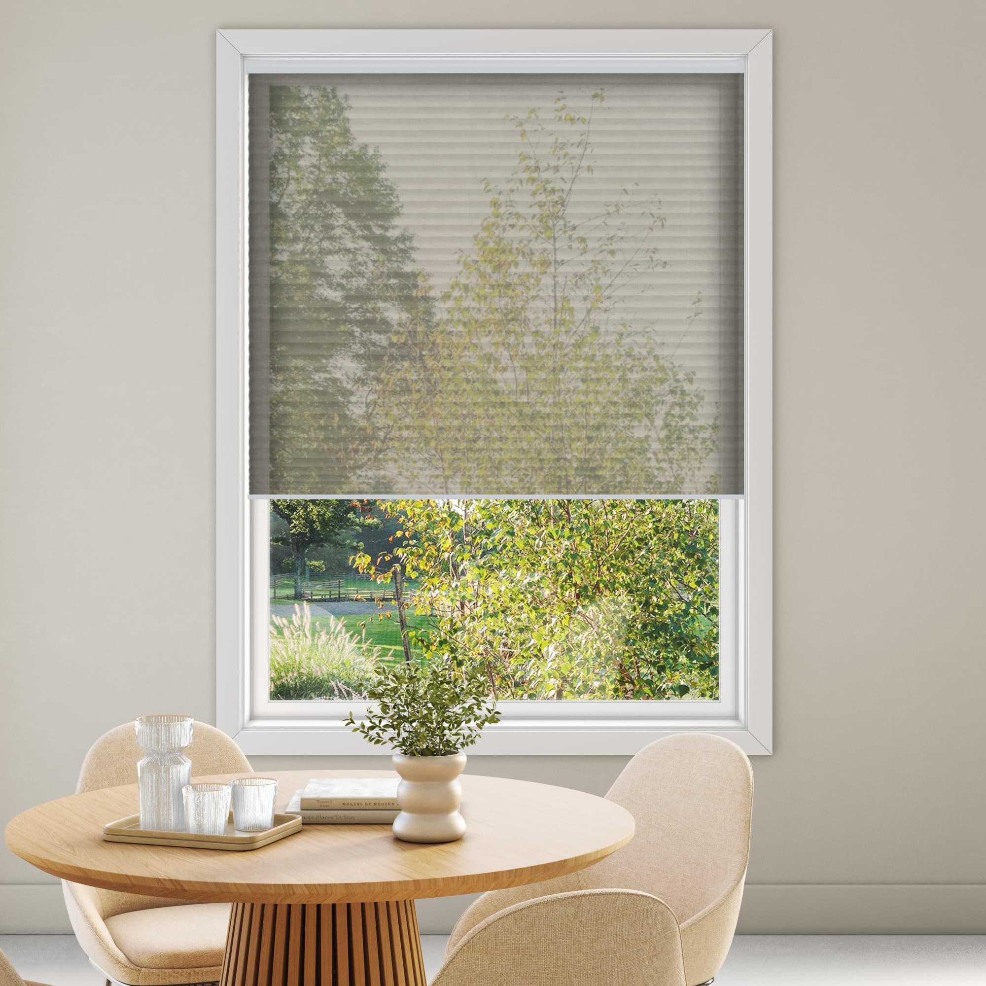 Luna Sheer 1905 Pleated Blind