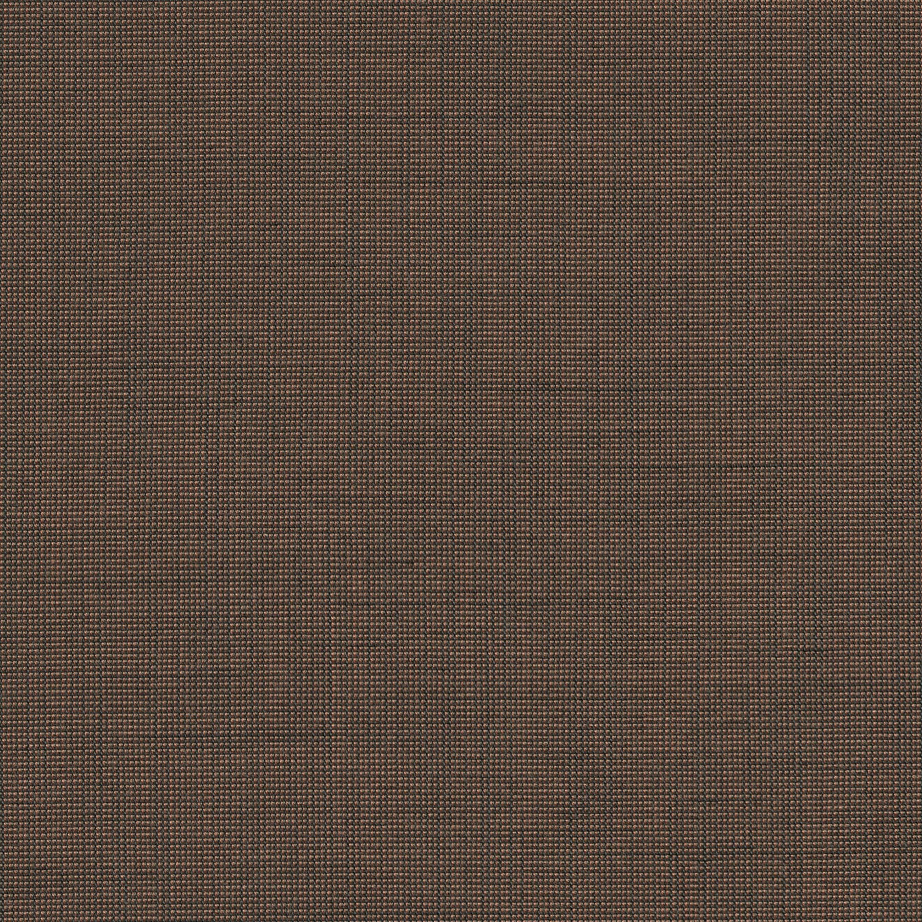 Be Be-81 Roman Blind