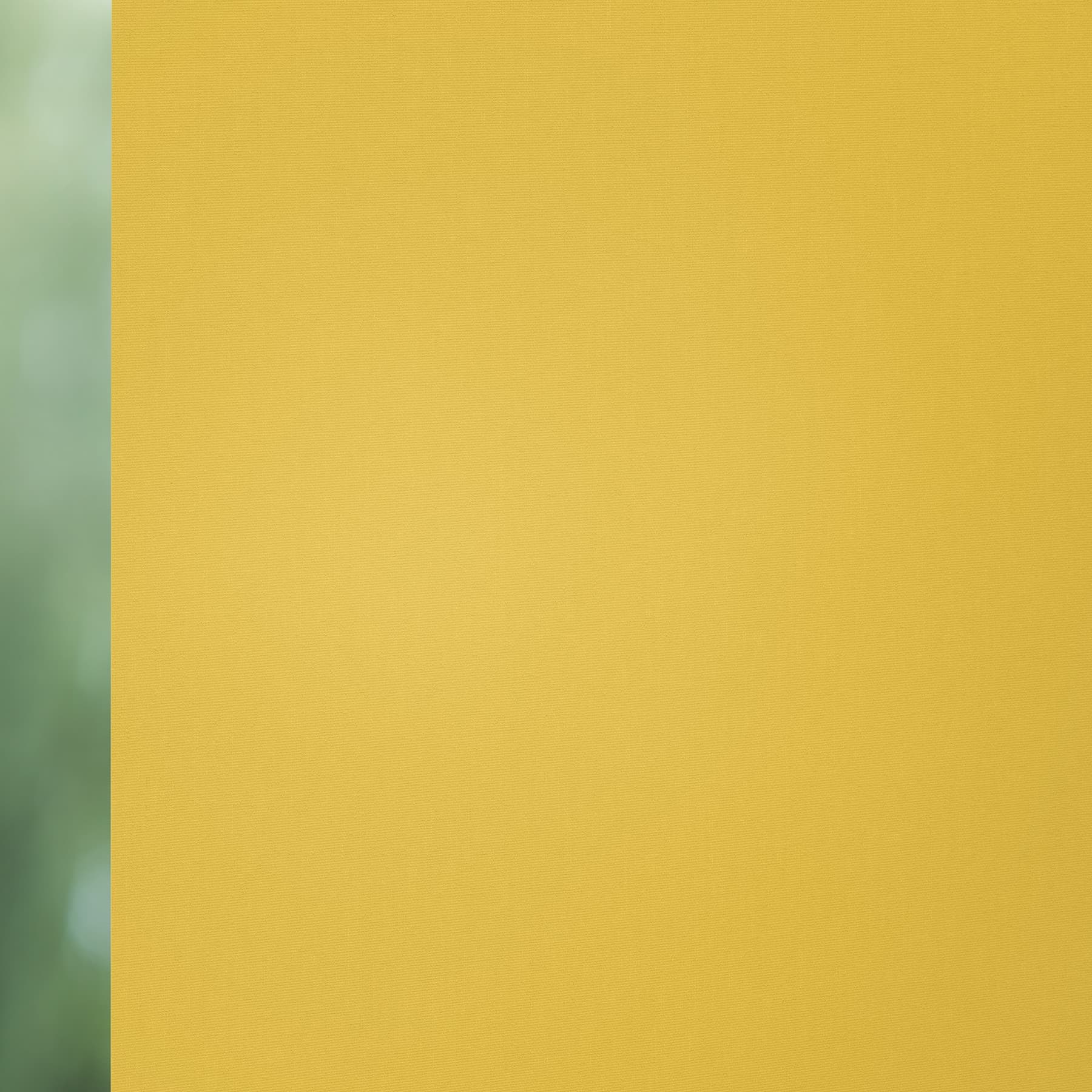 Elements 1685 Roller Blind