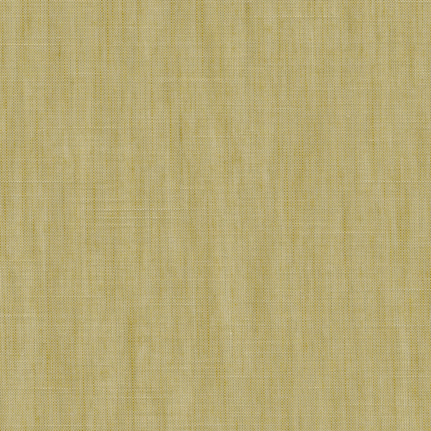 Forecast Forecast-06 Roman Blind