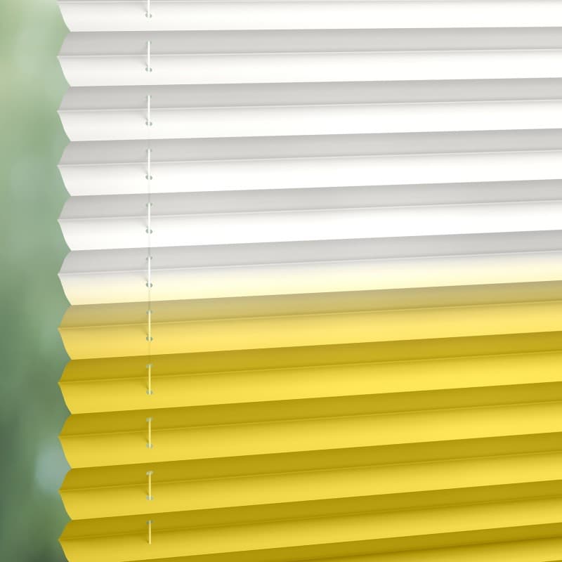 Ombre Topar® 1924 Pleated Blind