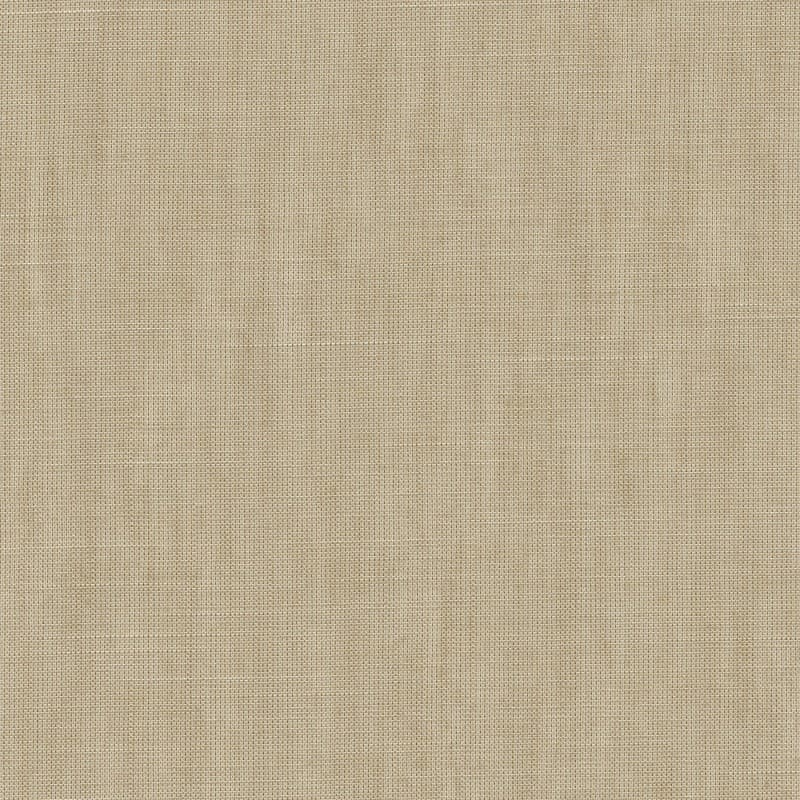 Forecast Forecast-12 Roman Blind