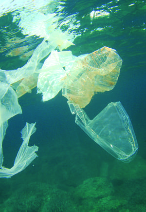 Havsplast – ett begrepp som måste få ett slut